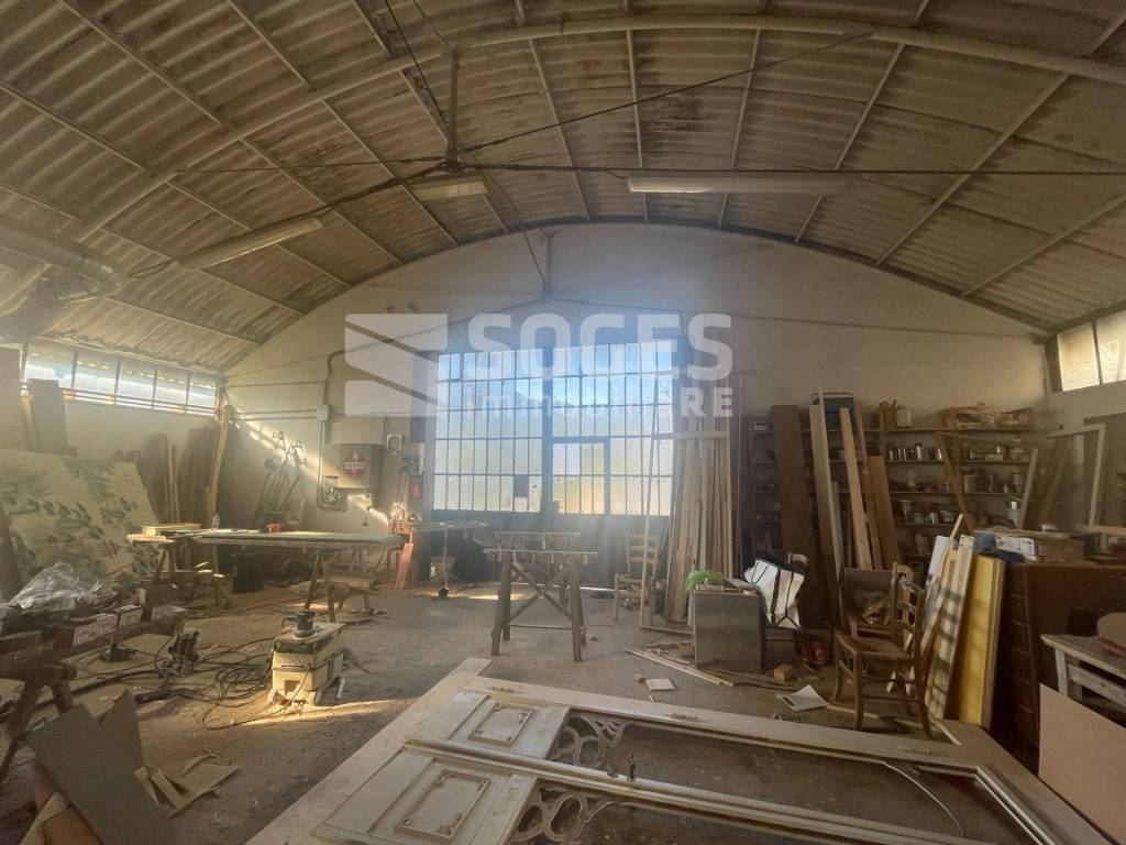 immagine annuncio 5 di 14