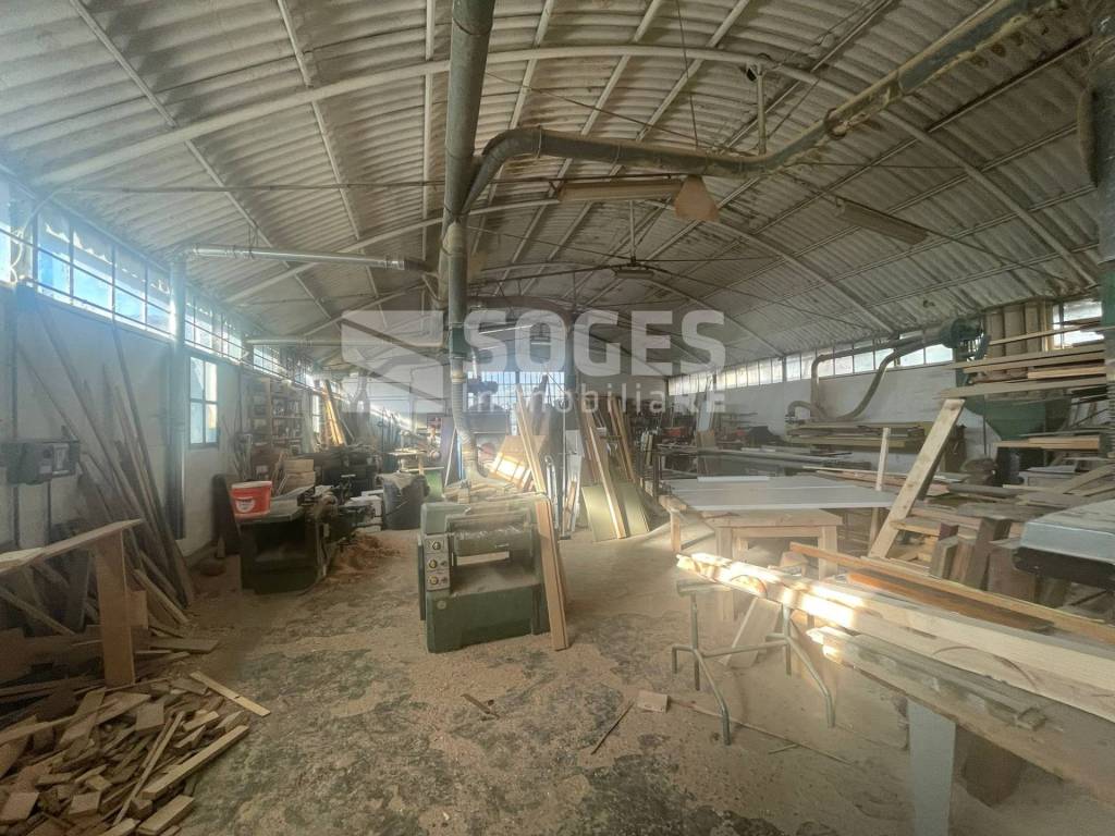 immagine annuncio 6 di 14