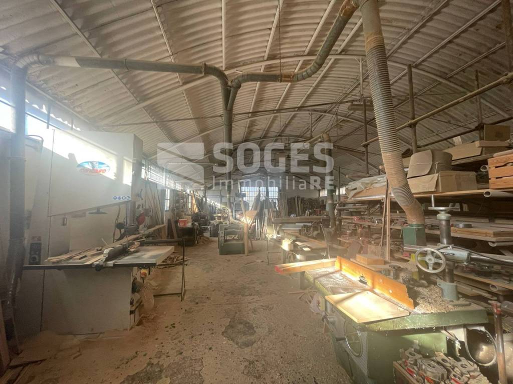 immagine annuncio 7 di 14