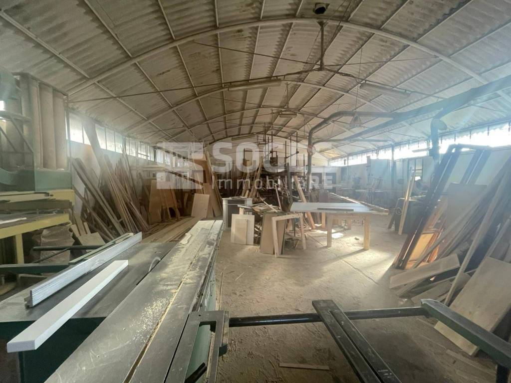 immagine annuncio 10 di 14