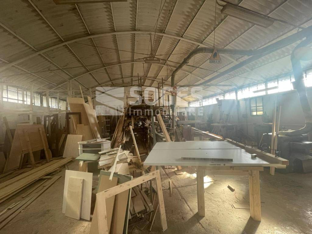 immagine annuncio 11 di 14