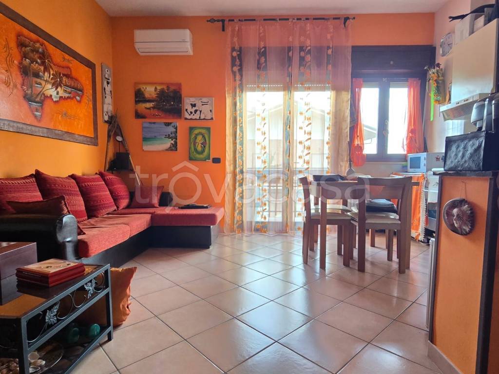 immagine annuncio 10 di 15