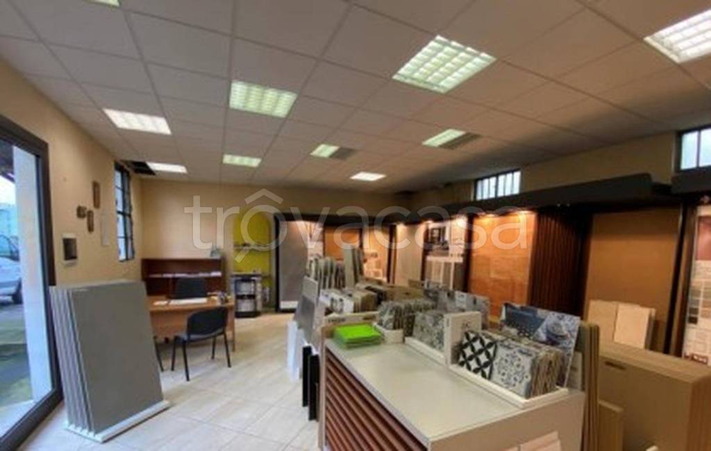 immagine annuncio 9 di 14