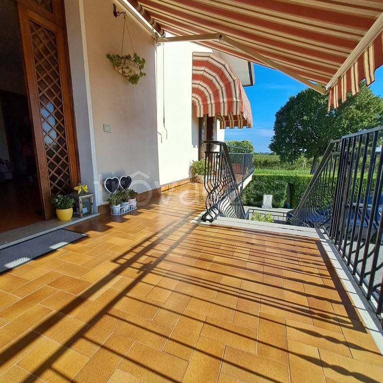 immagine annuncio 7 di 15