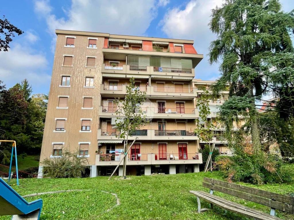 immagine annuncio 3 di 15