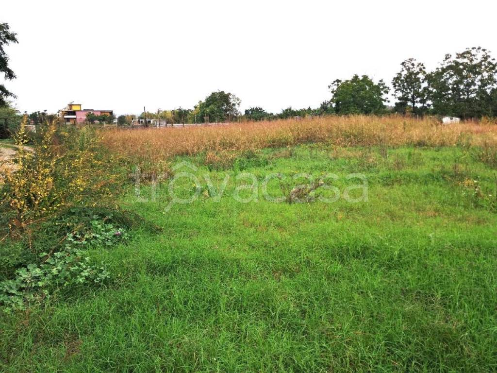 immagine annuncio 13 di 14