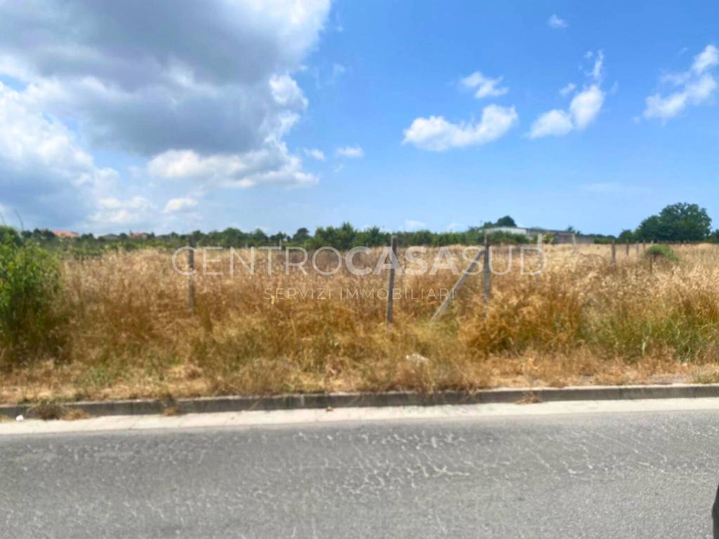 immagine annuncio 2 di 7