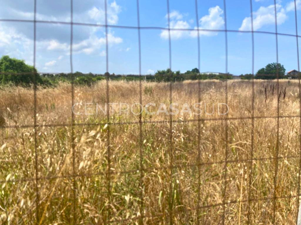 immagine annuncio 4 di 7