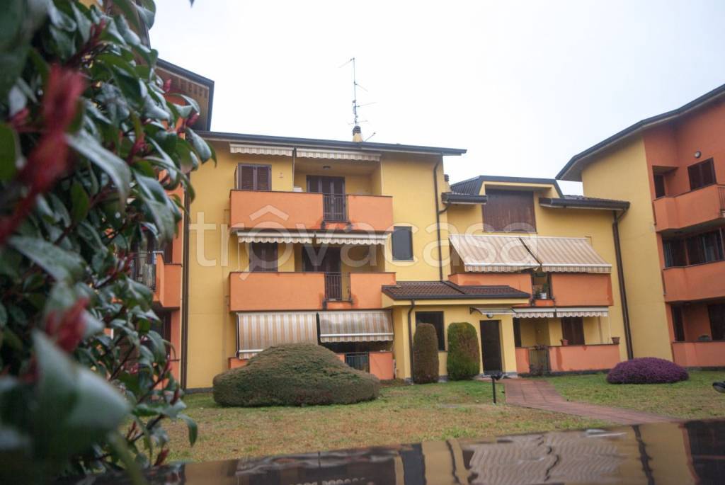 immagine annuncio 1 di 15