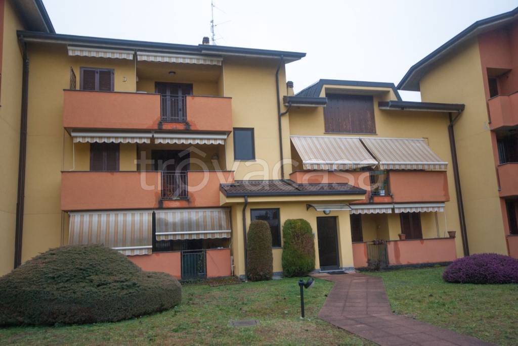 immagine annuncio 14 di 15