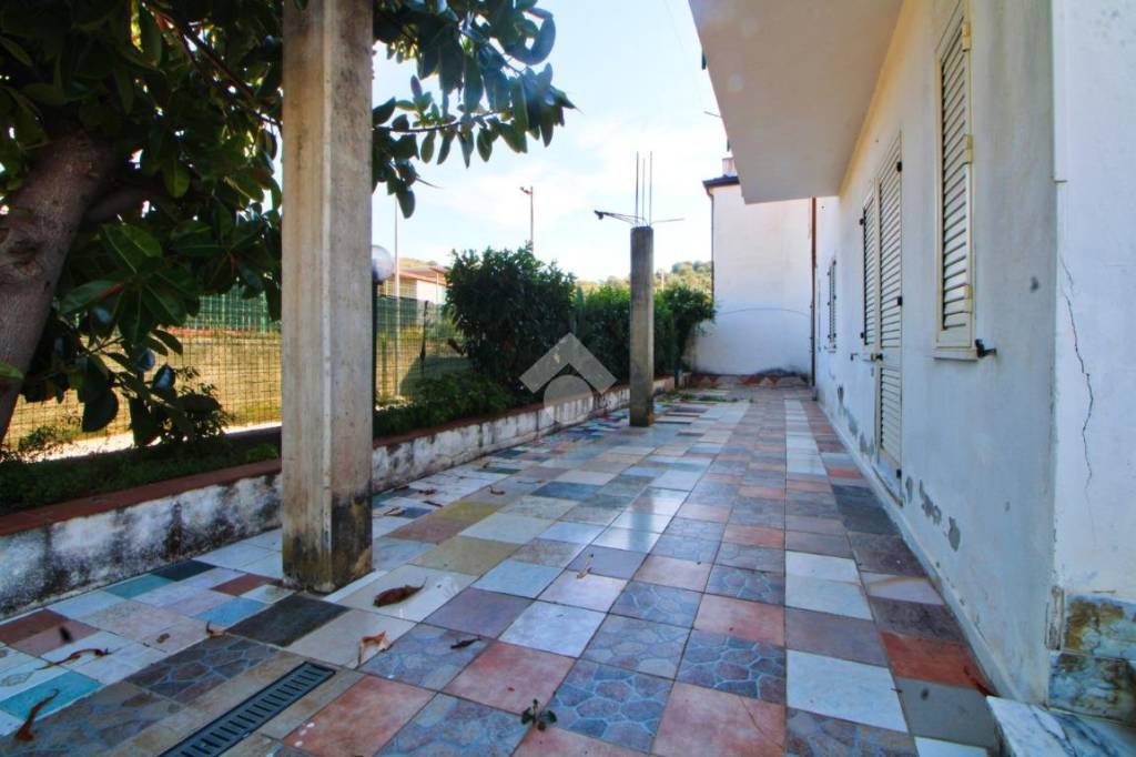 immagine annuncio 12 di 14