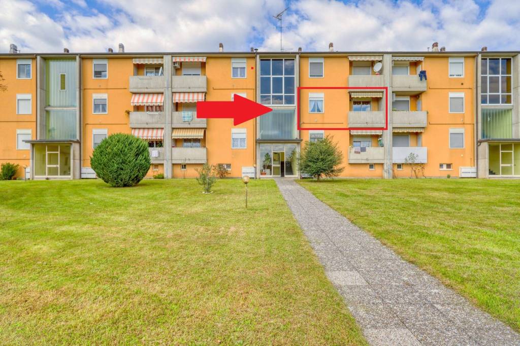 immagine annuncio 3 di 15