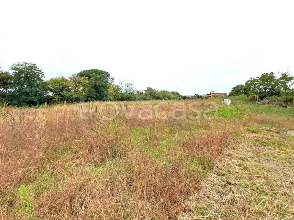 immagine annuncio 4 di 13