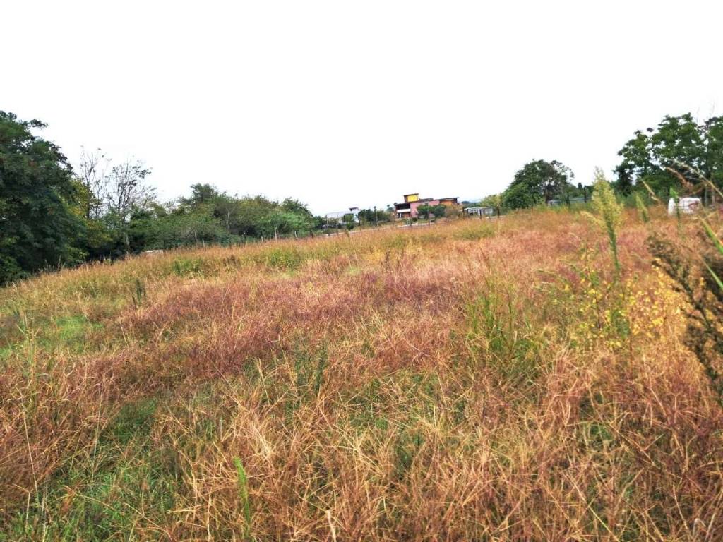 immagine annuncio 6 di 13