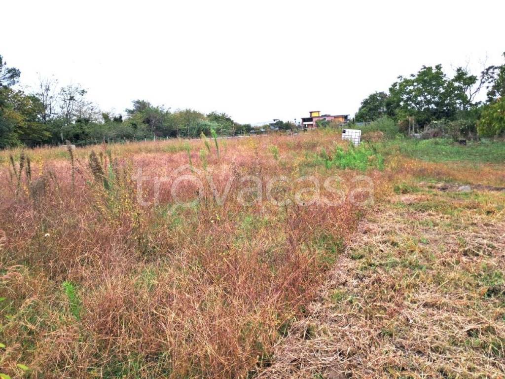 immagine annuncio 7 di 13