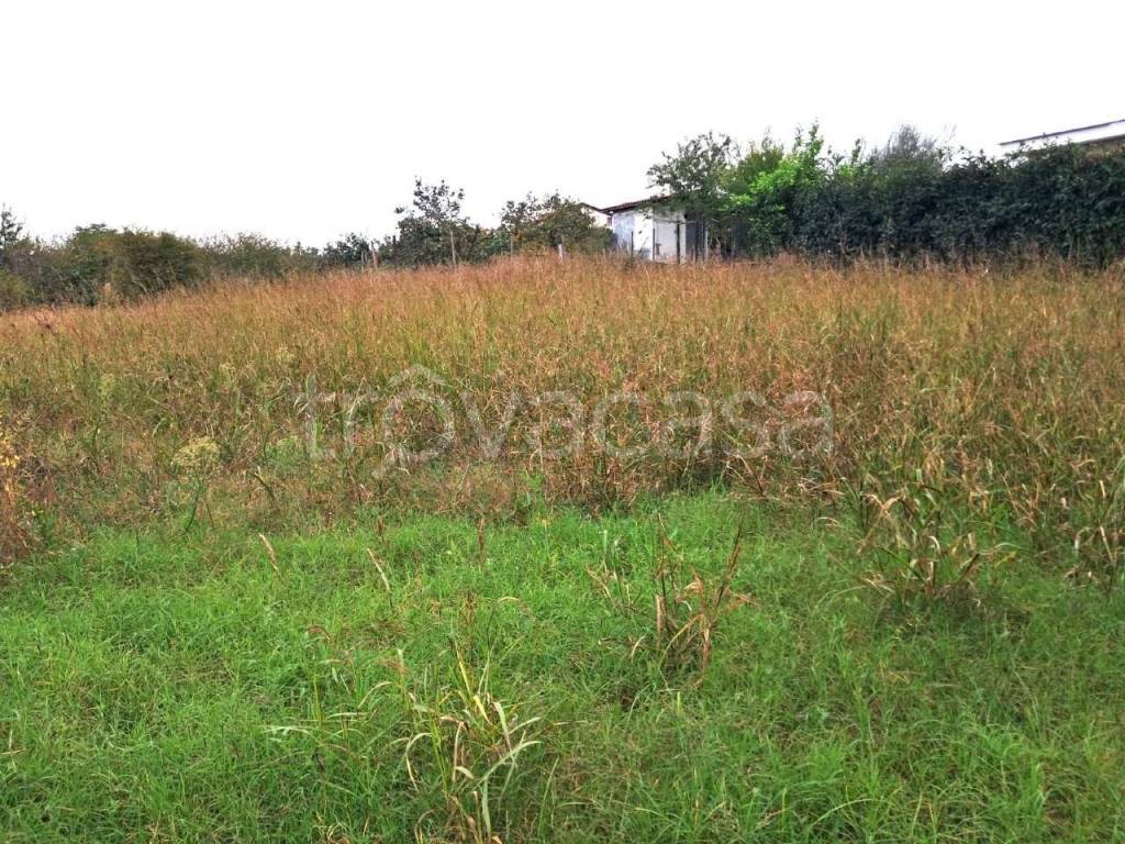 immagine annuncio 9 di 13