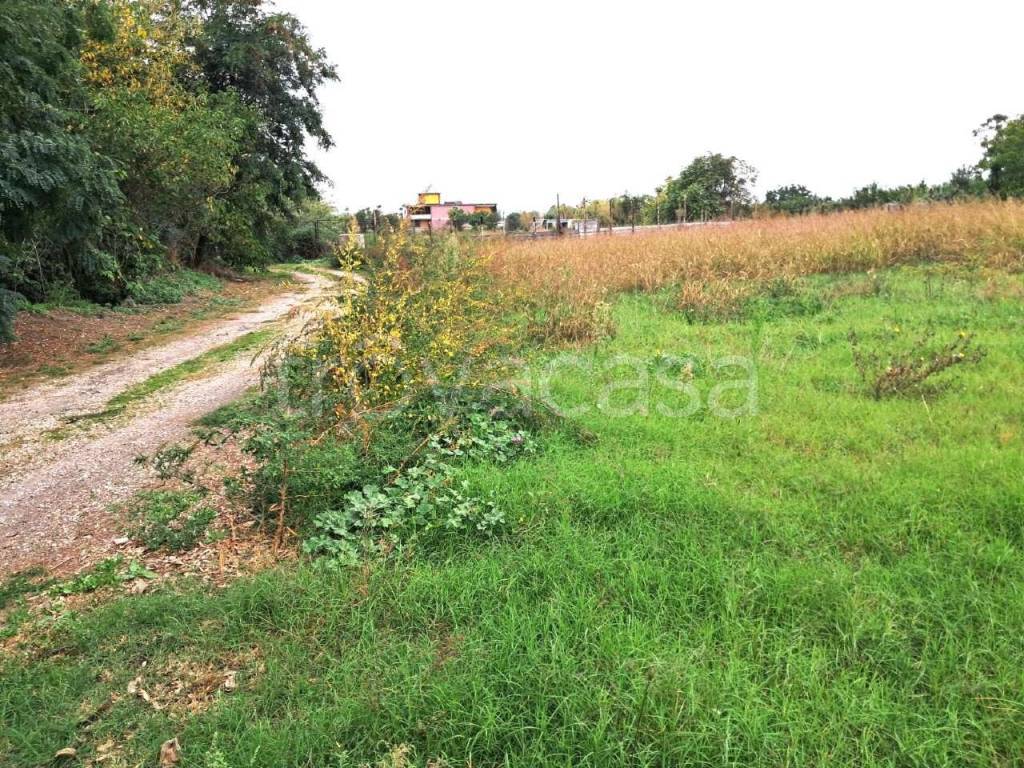 immagine annuncio 11 di 13