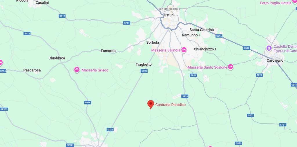 immagine annuncio 6 di 15