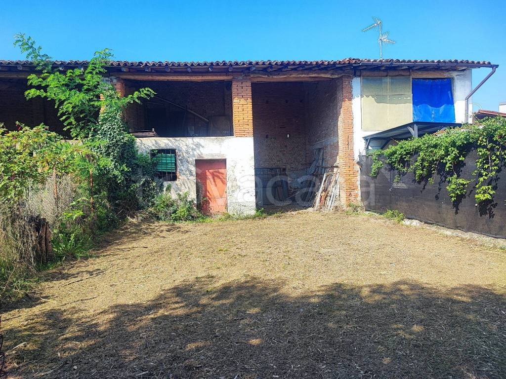 immagine annuncio 3 di 11