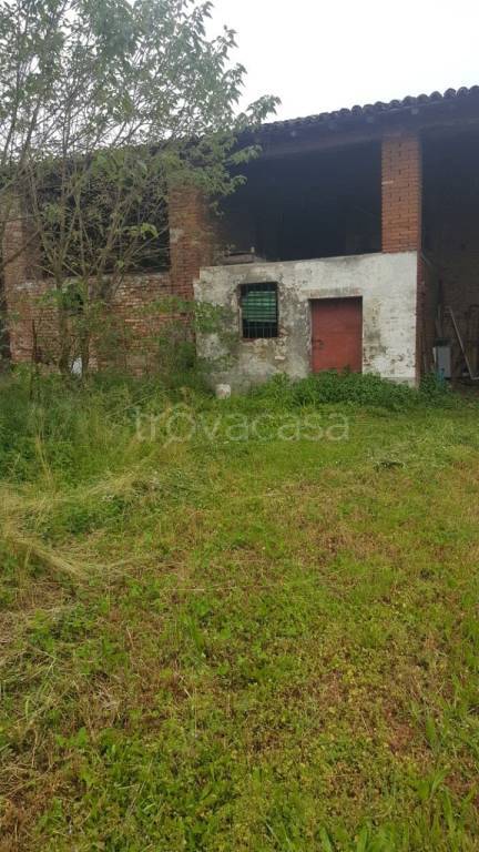 immagine annuncio 10 di 11