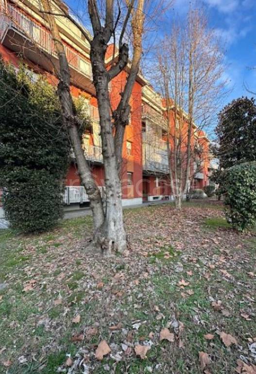 immagine annuncio 2 di 12