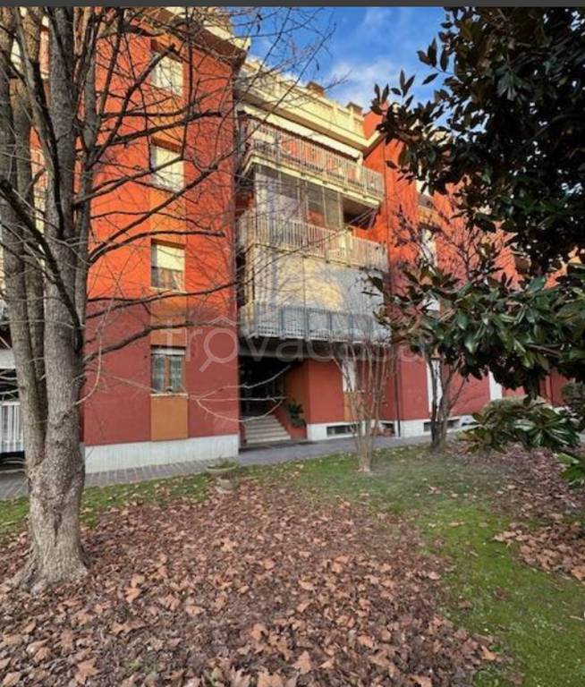 immagine annuncio 5 di 12