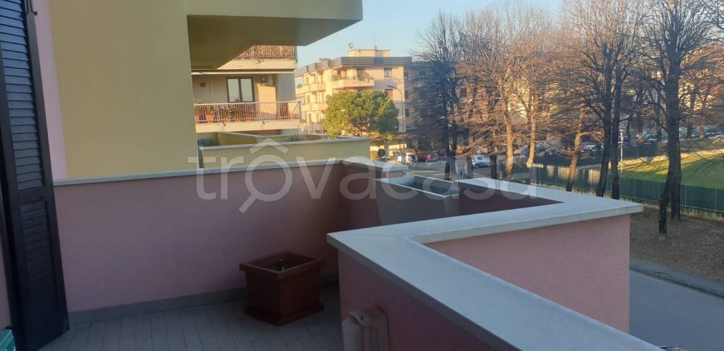 immagine annuncio 3 di 12