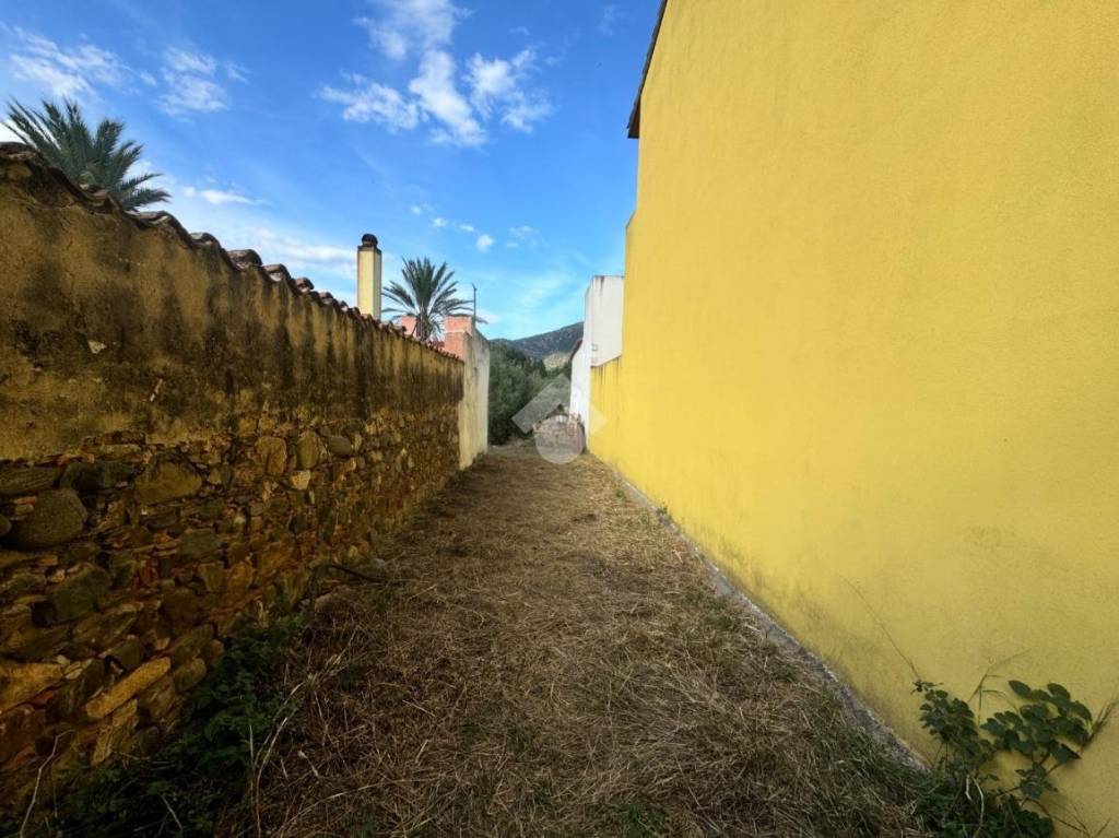 immagine annuncio 10 di 14