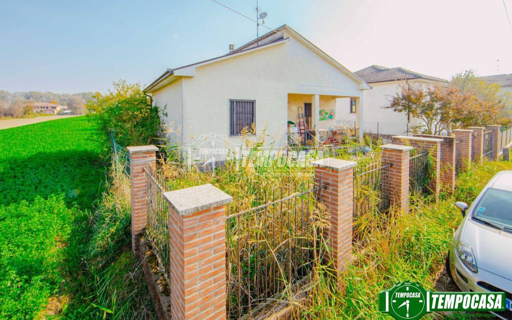 immagine annuncio 1 di 11