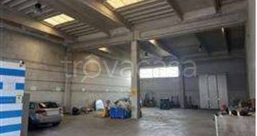 immagine annuncio 2 di 14