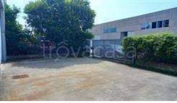 immagine annuncio 4 di 14