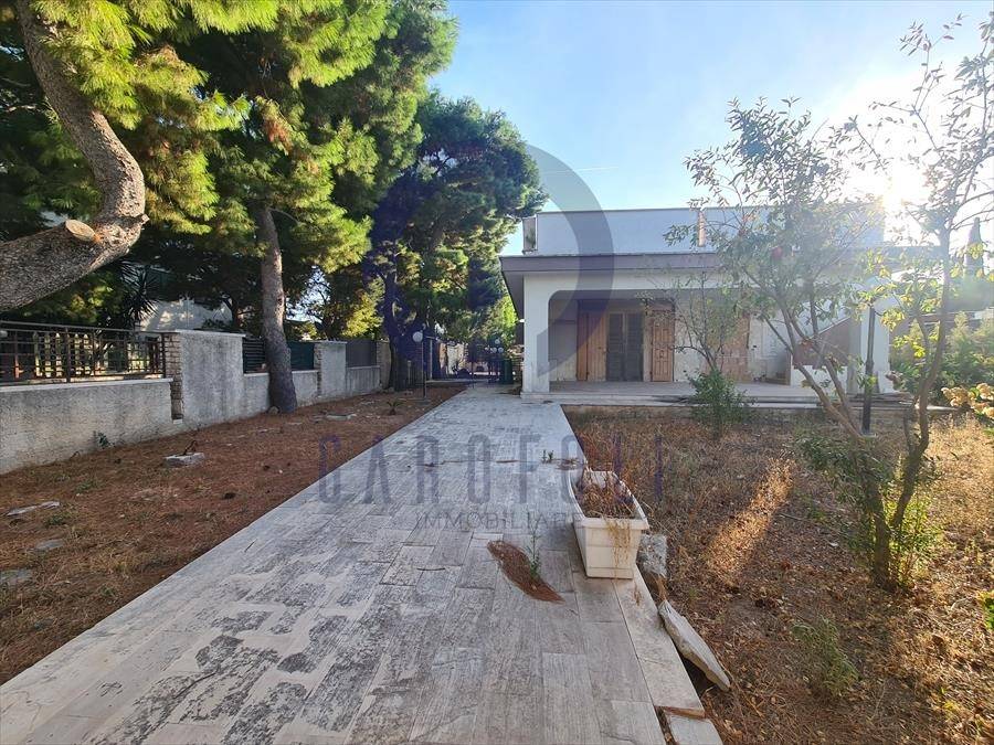 immagine annuncio 3 di 6