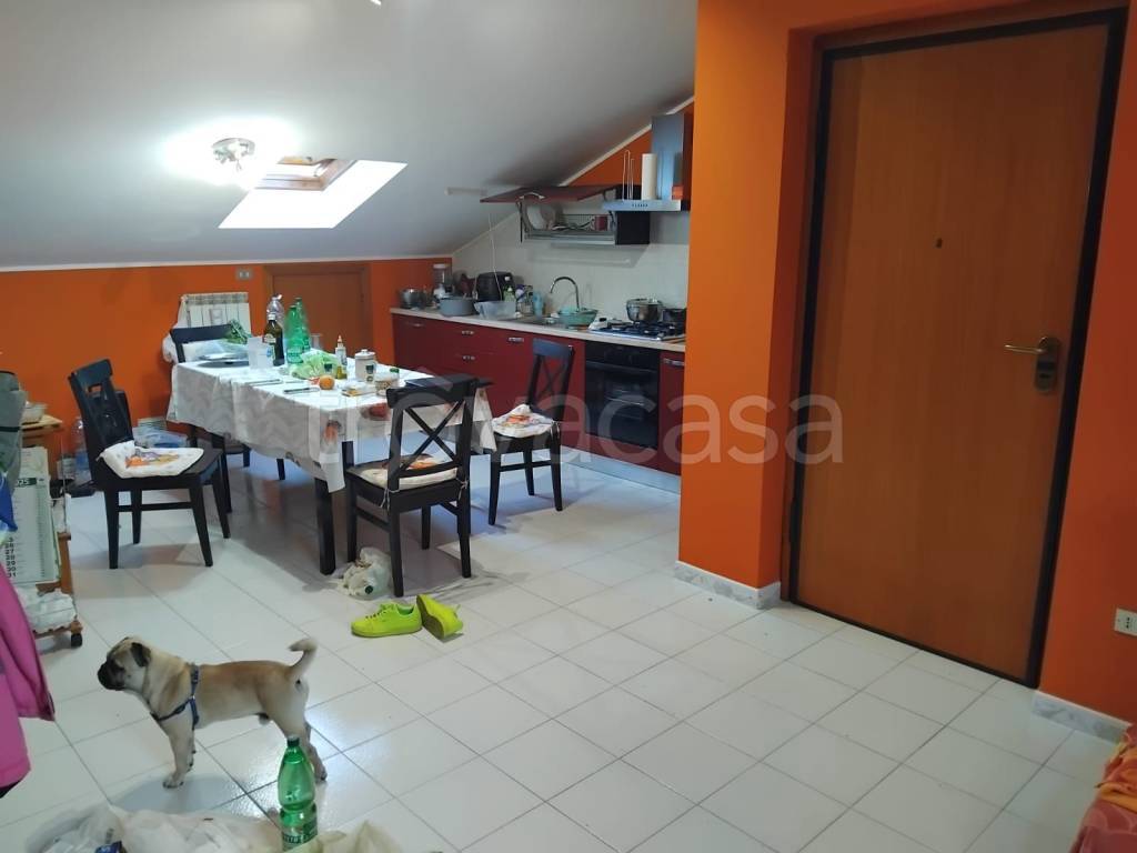 immagine annuncio 2 di 9