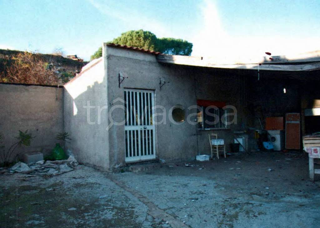 immagine annuncio 5 di 12