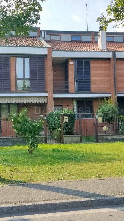 immagine annuncio 1 di 15