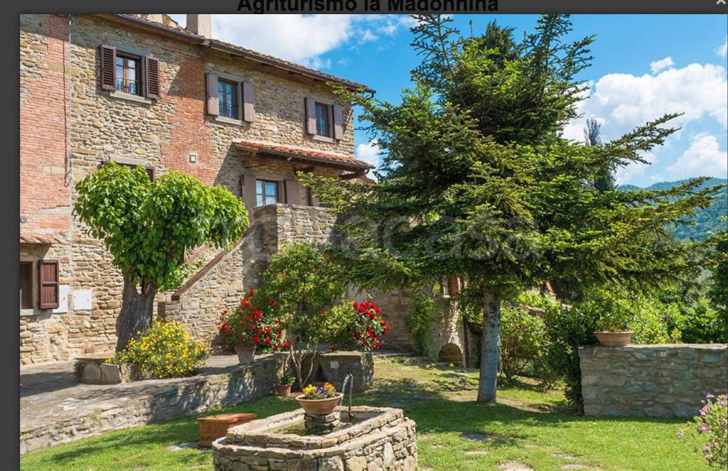 immagine annuncio 1 di 13