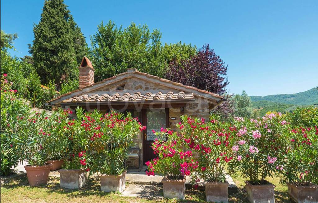 immagine annuncio 4 di 13