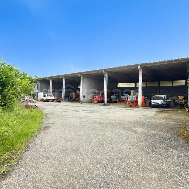 immagine annuncio 4 di 7