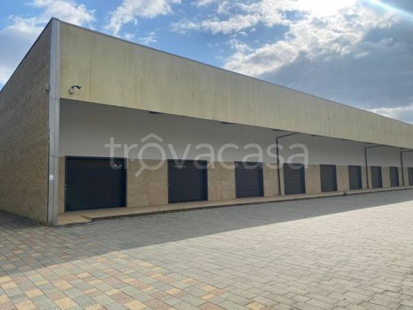 immagine annuncio 7 di 12