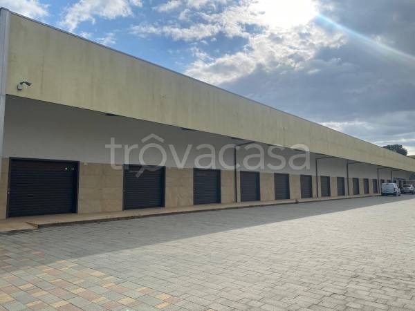 immagine annuncio 8 di 12