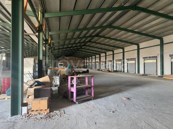 immagine annuncio 9 di 12