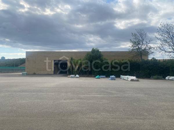 immagine annuncio 11 di 12