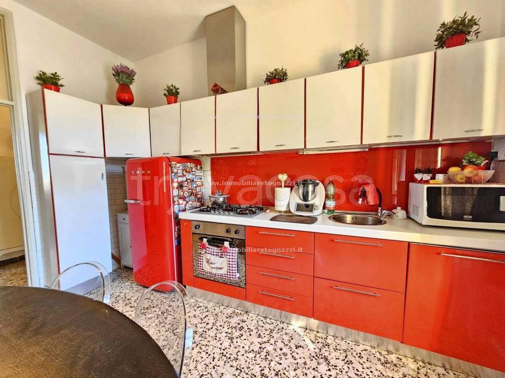 immagine annuncio 5 di 15