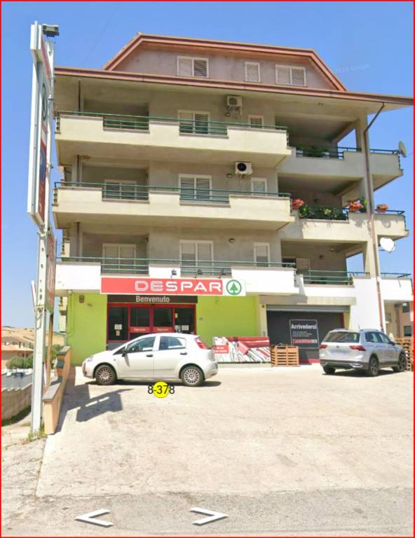 immagine annuncio 11 di 14