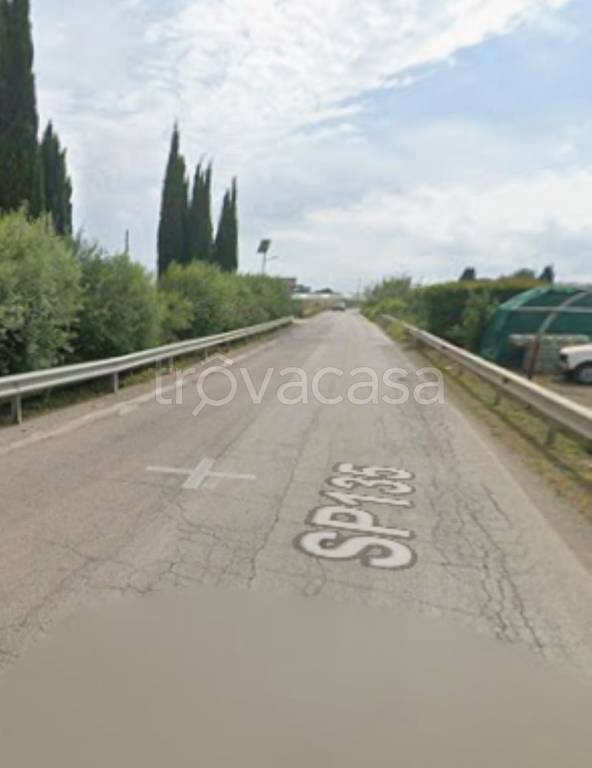 immagine annuncio 8 di 11