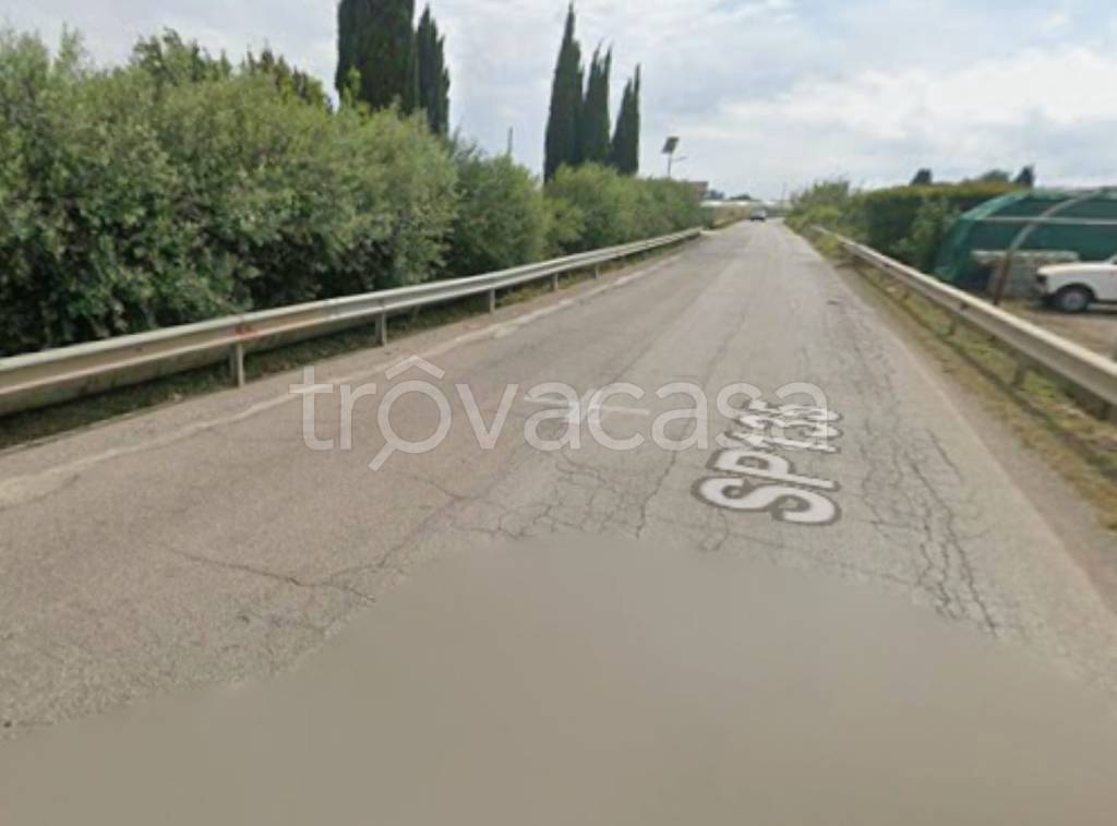 immagine annuncio 9 di 11