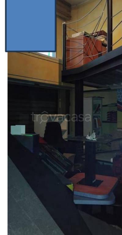 immagine annuncio 5 di 11