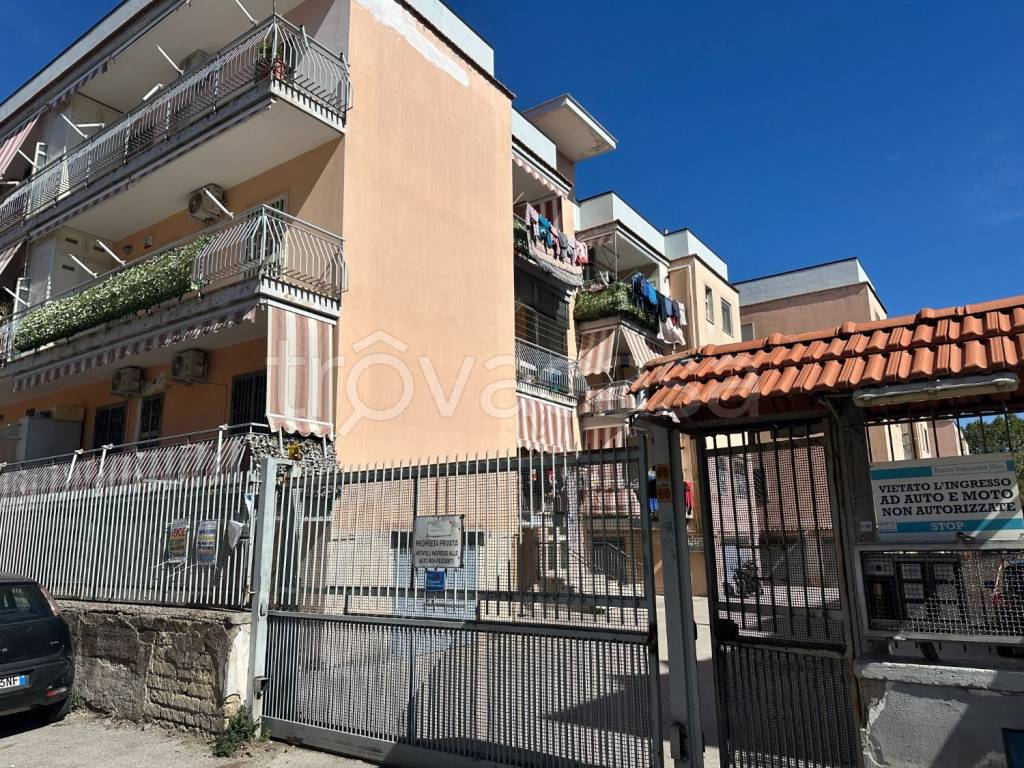 immagine annuncio 1 di 6