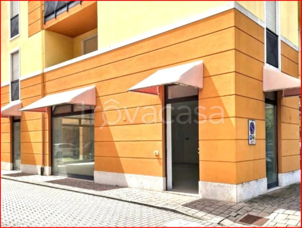 immagine annuncio 4 di 11