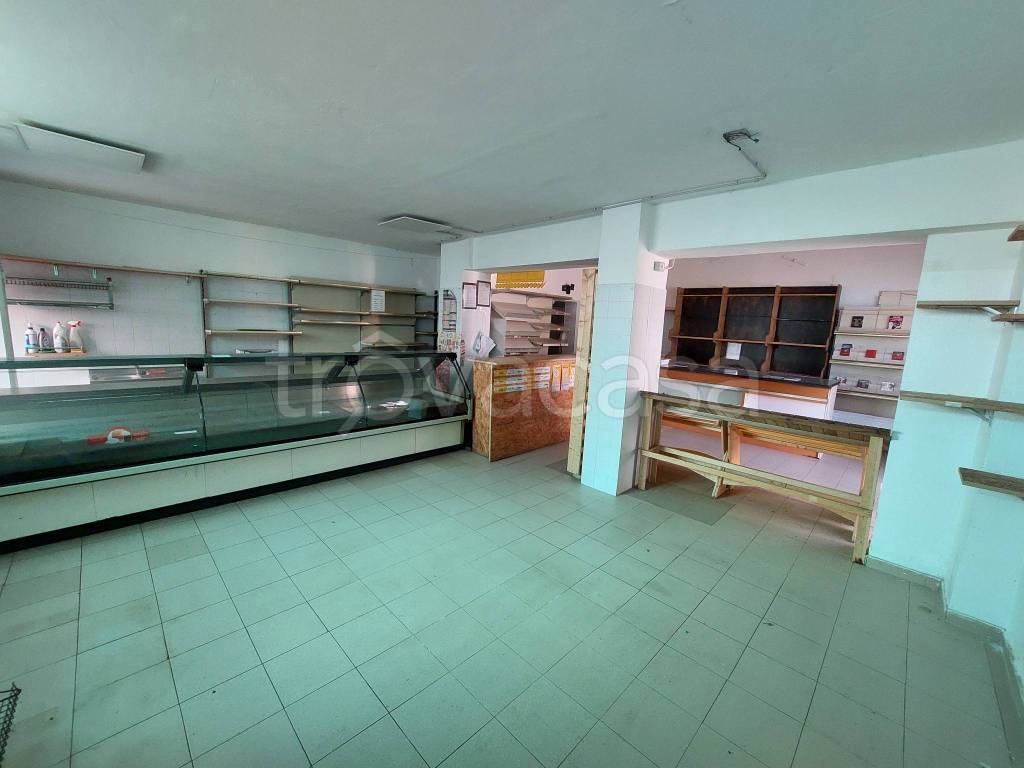 immagine annuncio 3 di 14